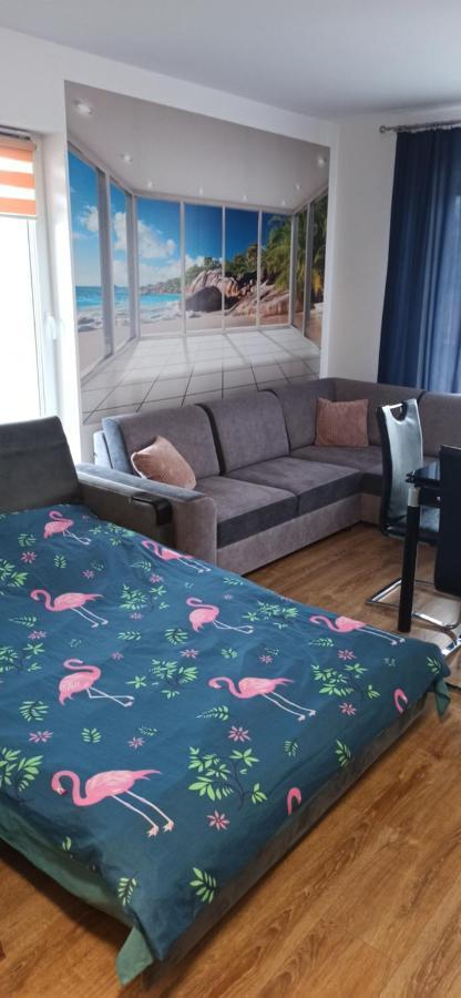 شقة Flamingo 19 مينززدرويه المظهر الخارجي الصورة