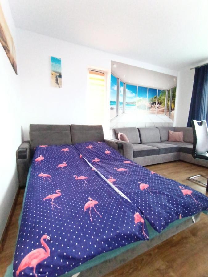 شقة Flamingo 19 مينززدرويه المظهر الخارجي الصورة